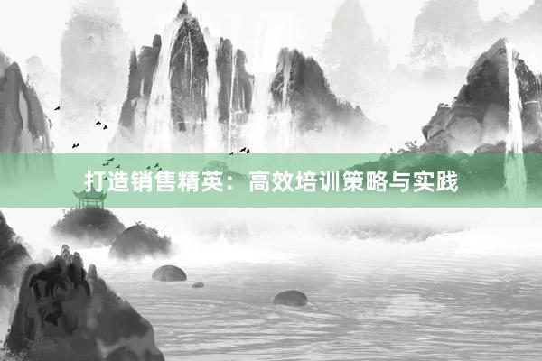 打造销售精英：高效培训策略与实践